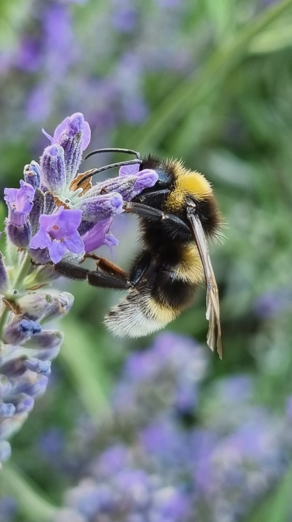 Mi van a&nbsp;magban?